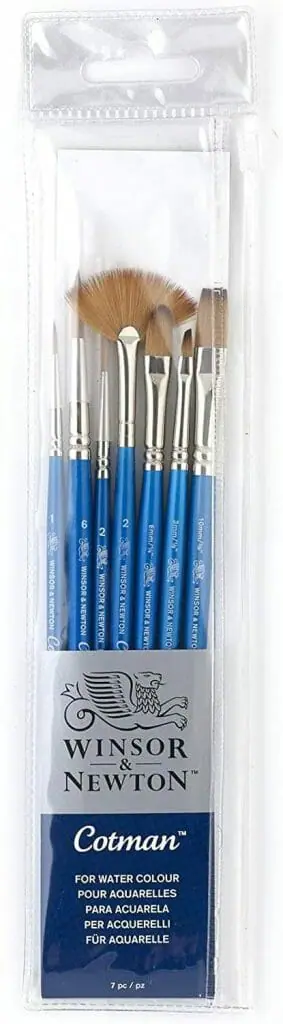 Winsor & Newton Cotman Short Handle Set