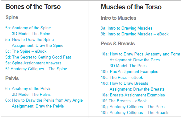 Proko Anatomy Course Review: Are The Paid Classes Worth It?