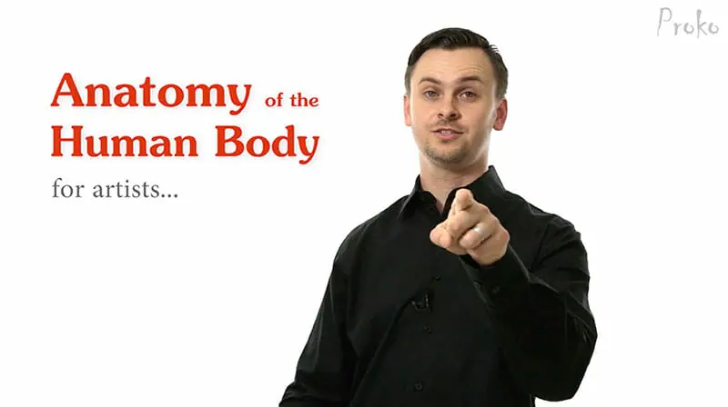 Anatomy Of Human Body Introduction