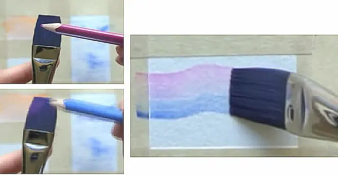 wet flat brush with two colors