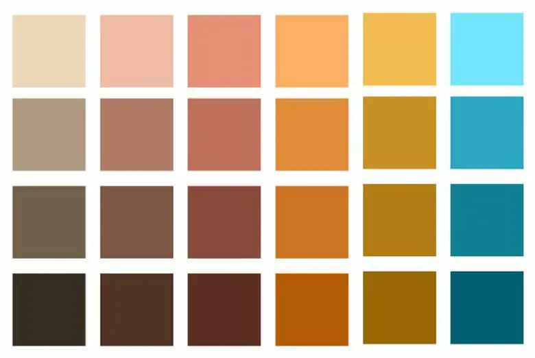 earth tone color palette