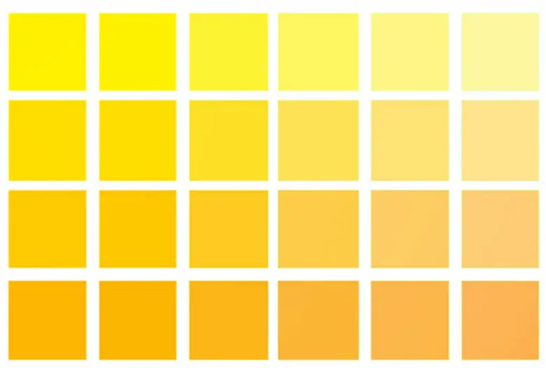 Color Chart - Yellow